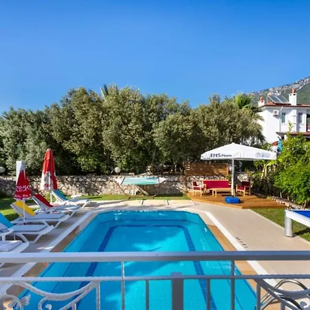 别墅 Exclusive With Breathtaking Views Mugla 1006 *