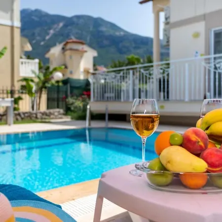 别墅 Exclusive With Breathtaking Views Mugla 1006
